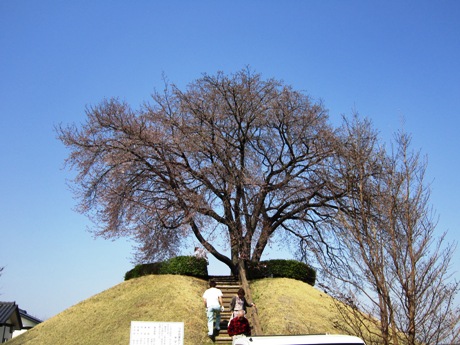c0127460_1529341.jpg