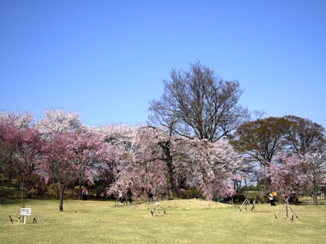 c0127460_15574448.jpg