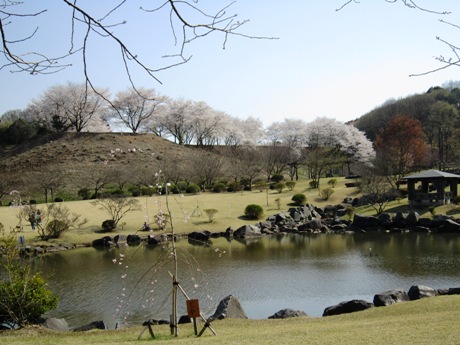 c0127460_155964.jpg
