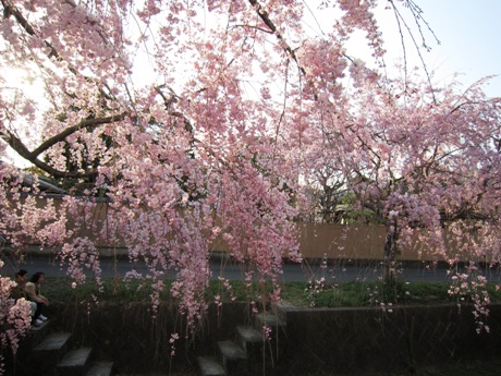 c0127460_161993.jpg