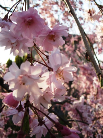 c0127460_1681047.jpg