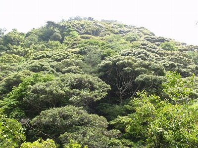 c0180460_01454.jpg
