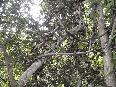 c0180460_02178.jpg
