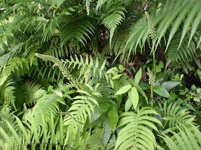 c0180460_03512.jpg