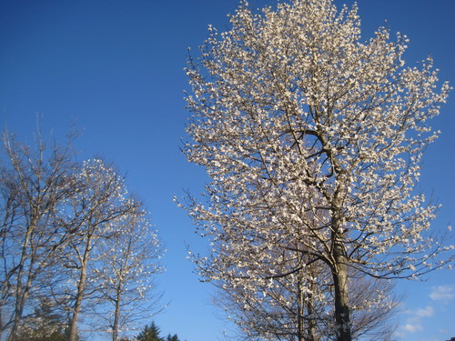 f0236260_15513967.jpg