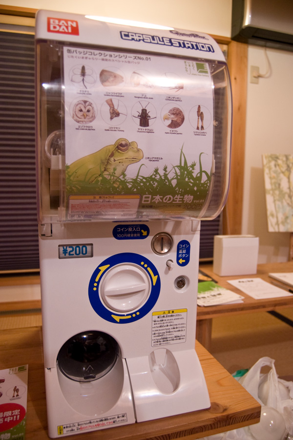 動物と植物._a0044064_17214896.jpg