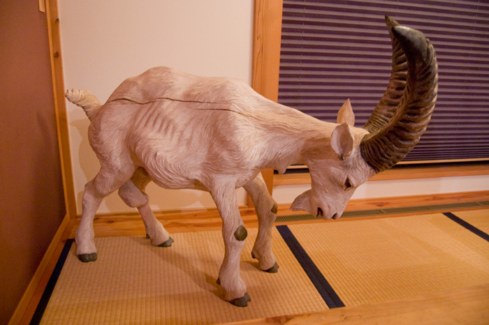 動物と植物._a0044064_17373355.jpg