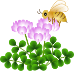 a0063364_22411290.gif