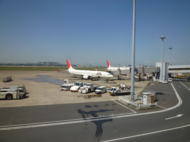 c0100865_8182860.jpg