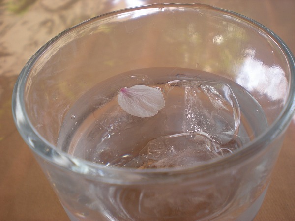 e0003465_935366.jpg