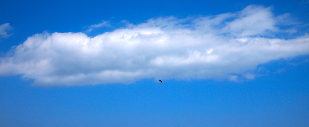 d0175768_231391.jpg