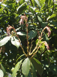 d0163670_12131857.jpg