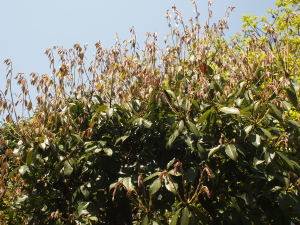 d0163670_12133692.jpg