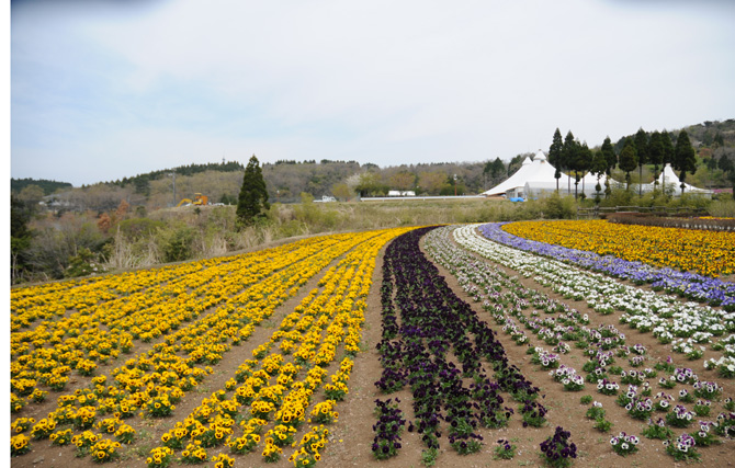 熊本紀行４_d0177875_1762292.jpg