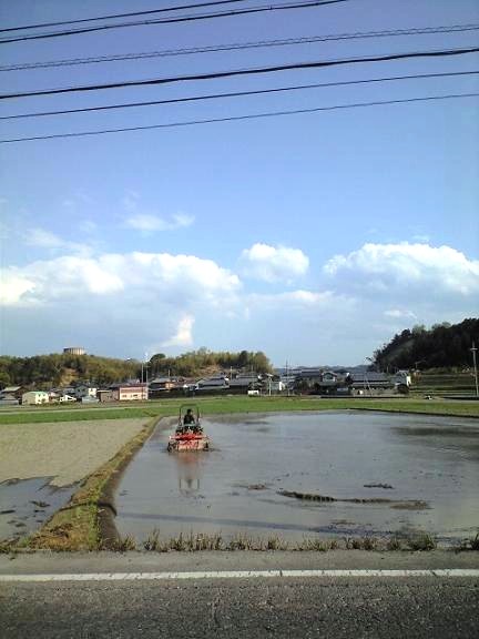 田植え　と　おいしいもの_c0012180_204623.jpg