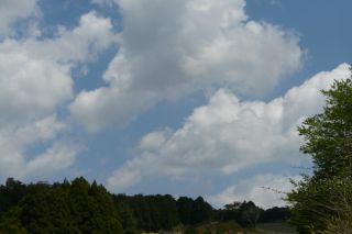 2011年4月29日 そうだ…森へ_b0098584_18295268.jpg
