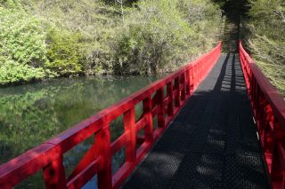 2011年4月29日 そうだ…森へ_b0098584_18312789.jpg