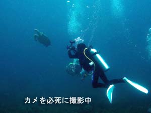 今日はピピ島!_f0144385_23492626.jpg