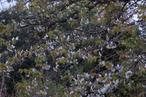 b0203588_19243133.jpg