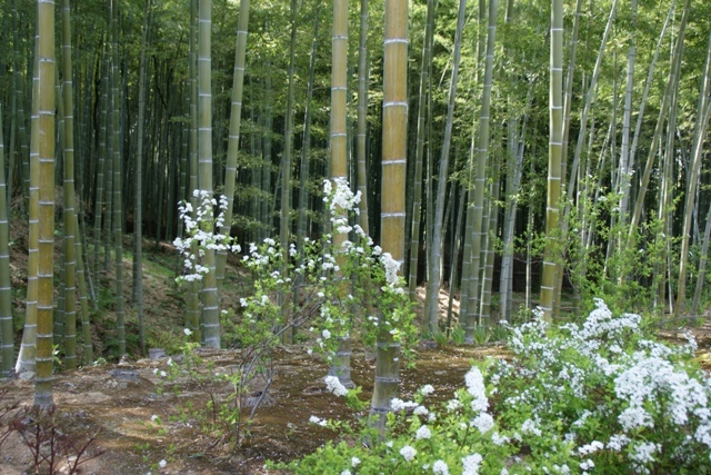 私のブログ絶対に見てください (53)_d0181492_9354727.jpg