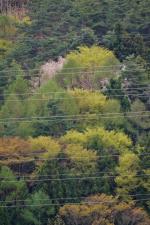 d0133693_2246286.jpg