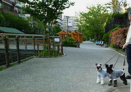 c0138198_20484623.jpg