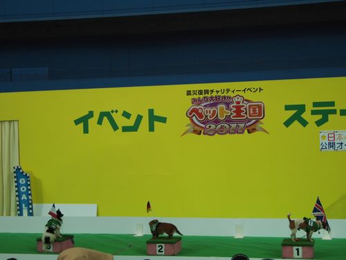 今年もペット王国。_a0050302_0591845.jpg