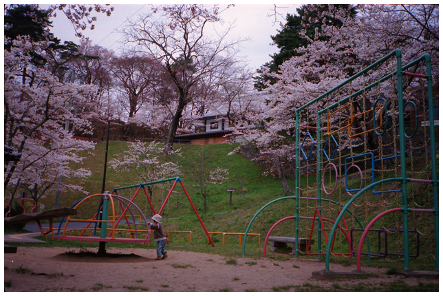 2011桜巡り・霞ケ城公園_d0221804_7405676.jpg