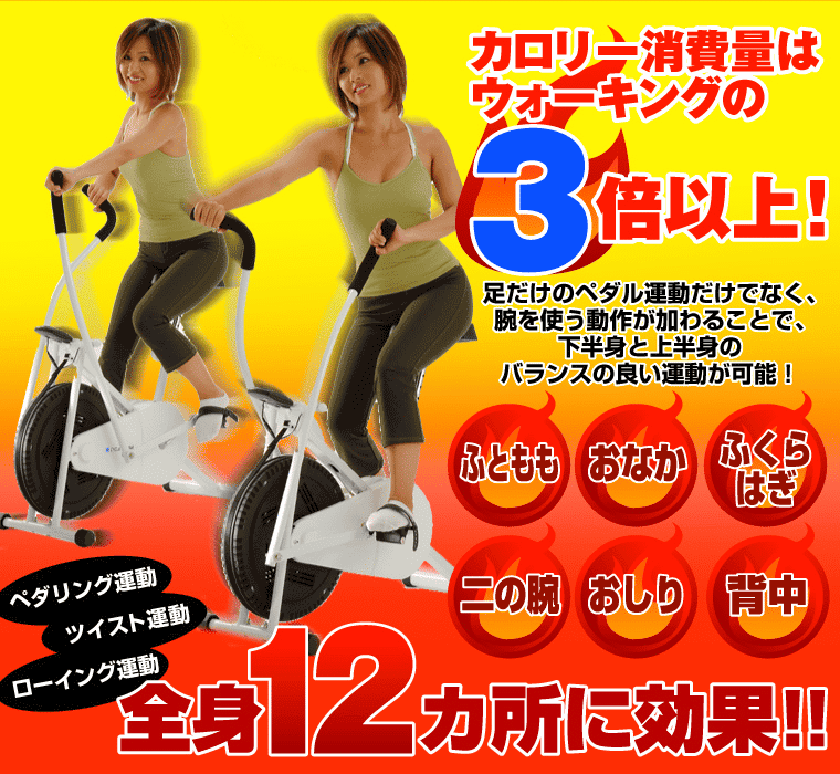 辛い 野望 磨かれた ダイエット 室内 自転車 Altium Trial Jp