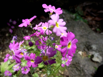e0204508_233427.jpg