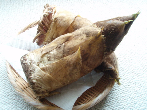 b0198109_05229.jpg