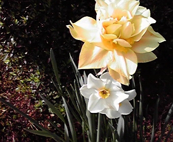b0159210_2145127.jpg