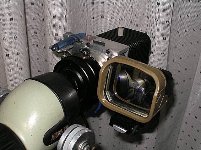 f0051915_21534660.jpg