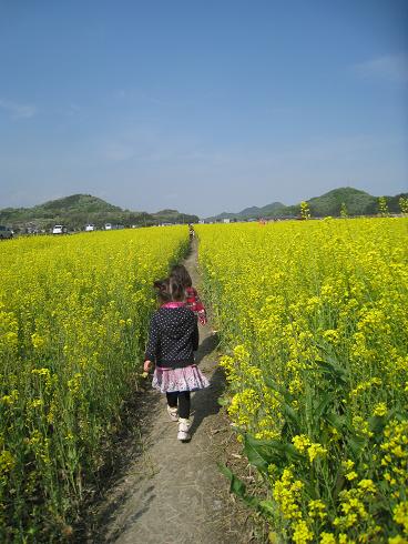 子供フェスティバルと菜の花_c0166916_10343076.jpg