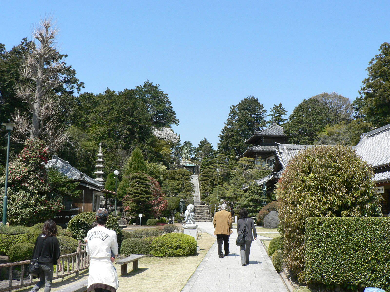 養学院_b0223617_16195847.jpg