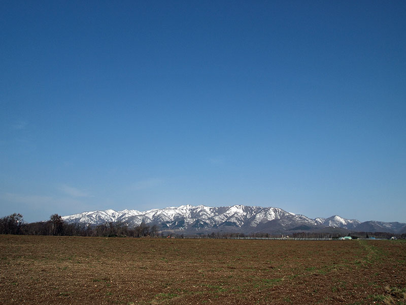 f0234423_171484.jpg