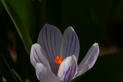 f0170524_16233437.jpg