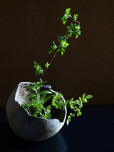 20110427.jpg