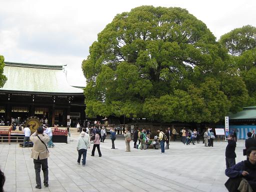 明治神宮と原宿をちょっと_c0217931_1830327.jpg