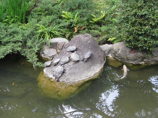 c0217931_18415873.jpg