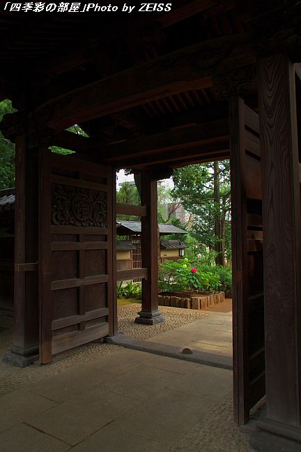 牡丹の寺「東長谷寺・薬王院」_a0195032_2044018.jpg