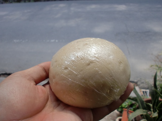 c0001632_2004289.jpg
