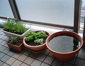 d0048332_14255267.gif