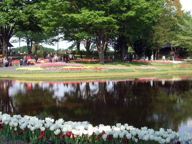 b0182334_13293996.jpg