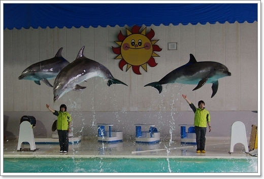 おたる水族館　イルカショー_f0218836_22231782.jpg