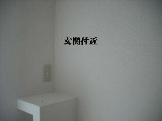 現場状況確認・棚板作業_f0031037_2121059.jpg
