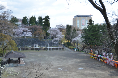 d0156438_1128657.jpg