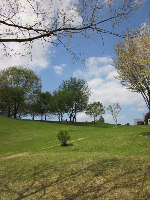 f0157538_2134354.jpg