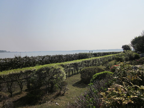 f0157538_21362989.jpg
