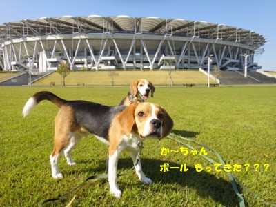 c0119142_8141929.jpg